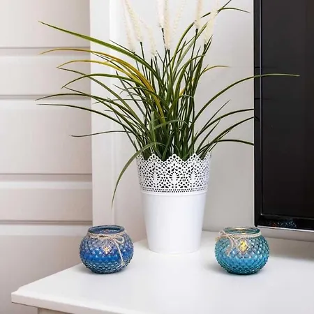 Daire Strandwohnung Direkt Am - Whg 33