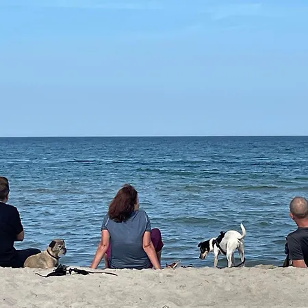 Strandwohnung Direkt Am - Whg 33 公寓 Kirr