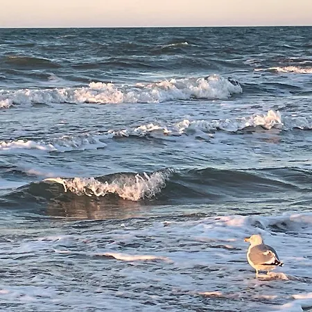 Strandwohnung Direkt Am - Whg 33 Daire Kirr