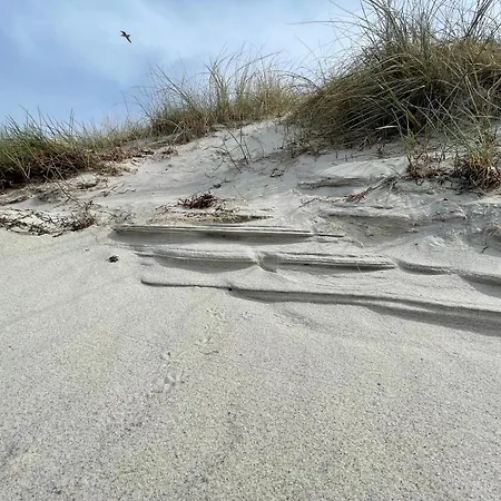 公寓 Strandwohnung Direkt Am - Whg 33 Kirr